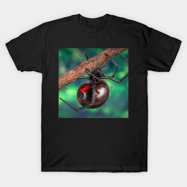 Black Widow T-Shirt by Rosettemusicandguitar